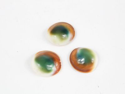 trois morceaux de verre aux couleurs vertes et marron sur un fond blanc