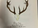 an open book with a drawing of a deer ' s skull on it