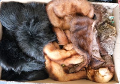 a lot of furs in a cardboard box on the floor