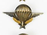 three military badges with wings and a star on a white background