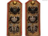 pair of german military shoulder boards with eagle and eagle emblem
