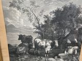 an old picture of a group of cows resting in a field