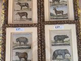 quatre photos encadrées représentant des animaux, posées sur une table recouverte d'une nappe jaune à motifs floraux
