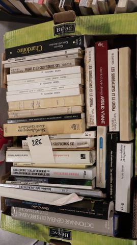Surréalisme: Lot de livres sur le surréalisme.