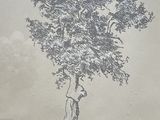 une photo d'un dessin représentant un arbre accroché au mur