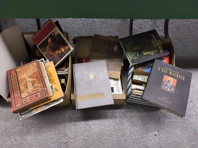 Lot de 3 cartons dont livres sur la peinture et les arts  et dive...