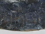 a close up of a piece of rock on a white surface