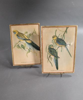 pair of framed bird prints of two birds on a branch of a tree