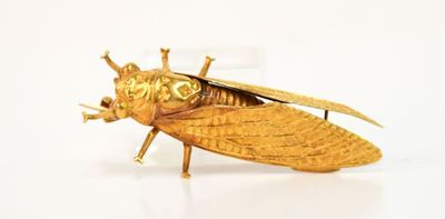 un insecte doré posé sur une surface blanche