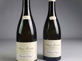 two bottles of wine sitting next to each other on a table