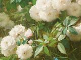 a painting of a bunch of white flowers in a vase