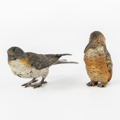 deux petits oiseaux posés l'un à côté de l'autre sur une surface blanche