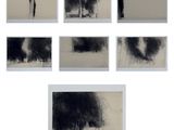 six dessins en noir et blanc représentant des arbres sur fond blanc