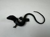 un petit lézard noir posé sur une table