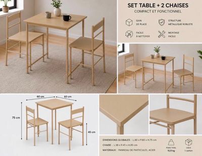 une table et deux chaises, avec une plante posée dessus