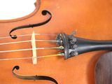 a close up of a violin on a white background