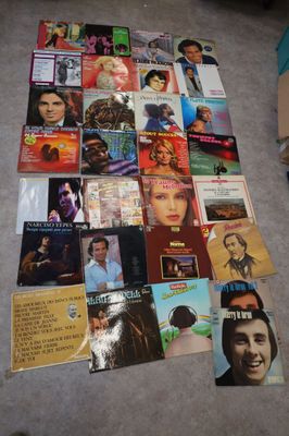 29 vinyles 33 tours Diana Marvin, Chuck Berry, Claude Franço…