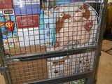 a metal cage with stuffed animals inside of it