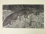 a drawing of a fox in the middle of a field