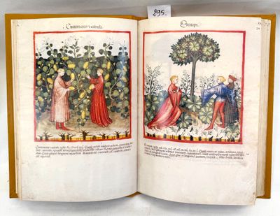 an open book with a picture of a man and a woman in a garden