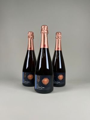 trois bouteilles de champagne sur fond gris