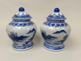 two blue and white vases with mountains and trees on them