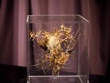a glass box with a plant in it on a table
