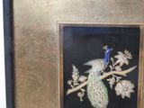 a picture of a peacock sitting on a branch of a tree