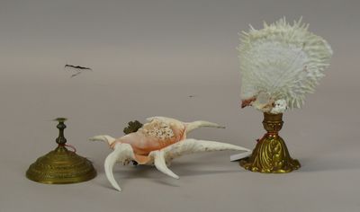 a crab that is sitting next to a candle holder