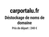 Photo 1/1 du lot