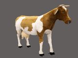 une vache brune et blanche debout sur une surface grise