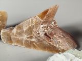 a close up of a piece of rock next to some crystals