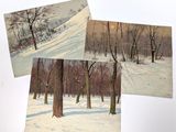 three postcards of a snowy landscape with trees and a house