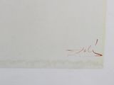 an image of a piece of paper with a drawing on it
