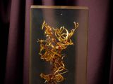 a picture of a gold piece in a glass case