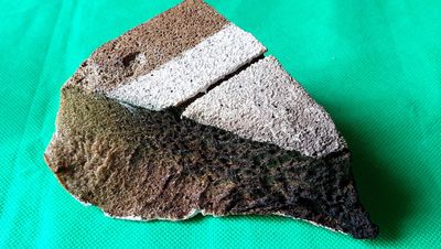 un morceau de gâteau posé sur une surface verte