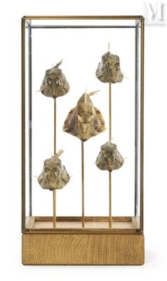 a glass display case with a bunch of flowers inside of it
