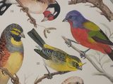 a lot of birds that are sitting on a tree branch