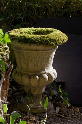 a moss covered planter sitting next to a tree stump