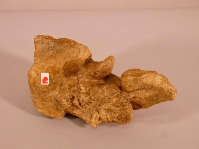 un petit morceau d'or sur une surface blanche