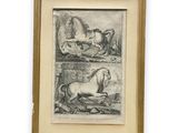 two framed drawings of a horse and a dog in a stable