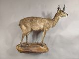a statue of an antelope standing on a piece of wood