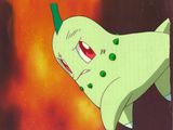 animation animation animation animation animation animation animation animation animation animation animation animation animation animation animation animation animation animation animation animation animation animation animation animation animation animation animation animation animation animation animation animation