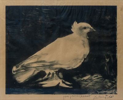 peinture représentant un pigeon blanc sur fond noir, avec un arrière-plan bleu