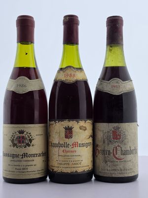 trois bouteilles de vin posées sur une table l'une à côté de l'autre