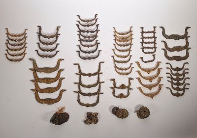 de nombreux types d'os d'animaux exposés sur le mur