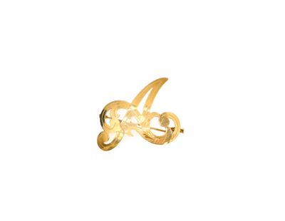 a close up of a gold ring on a white background