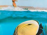 the cover of a magazine with a picture of a woman on a surfboard in the ocean