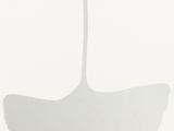 shadows of a ginko leaf on a wall in a bathroom