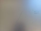 Photo 9/11 du lot